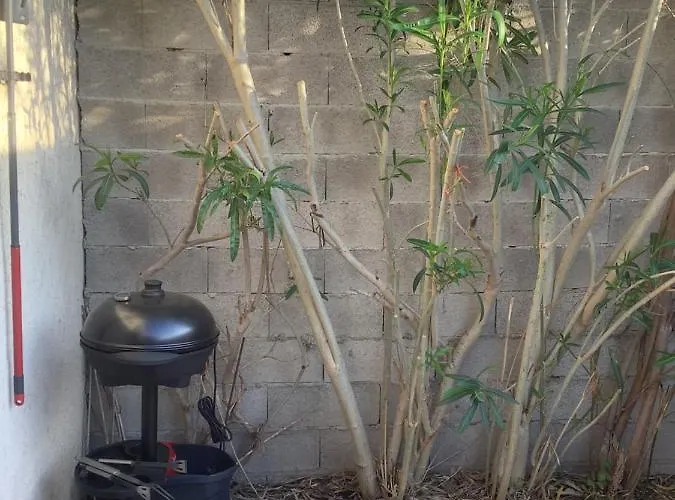 Villa De Lyse Avec Jacuzzi *